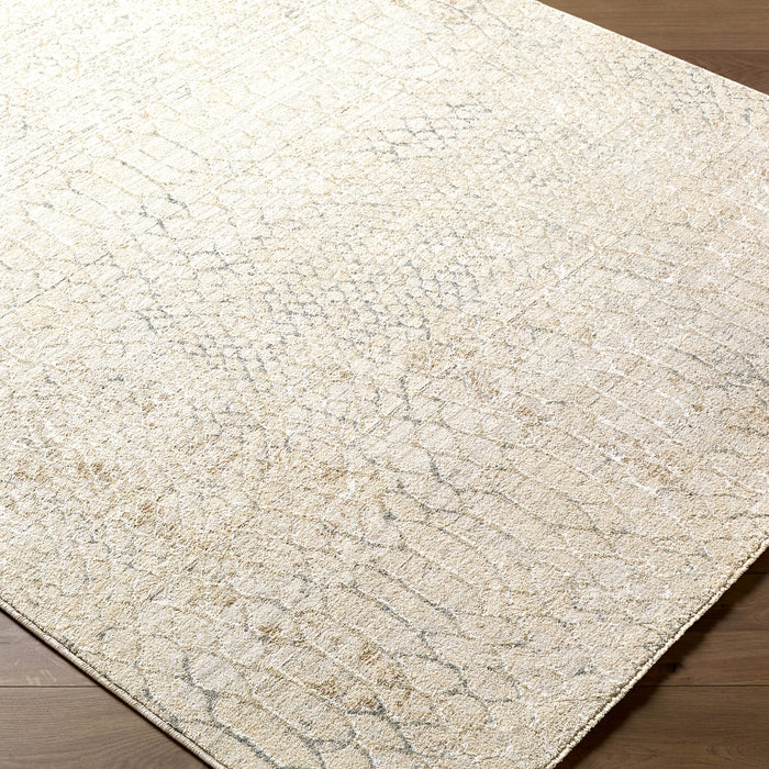 Nathan Modern Graphic NTH2301 Rug