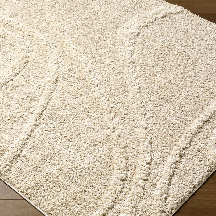 Rodos Modern Soft Plush Pile RDO2354 Rug