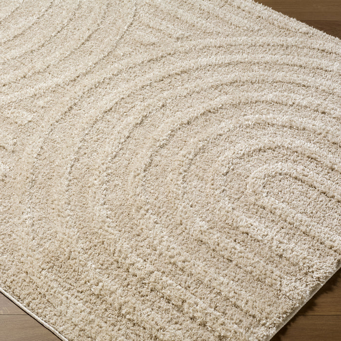Rodos Modern Soft Plush Pile RDO2358 Rug