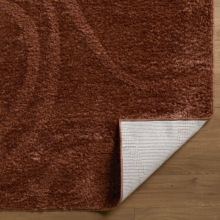 Rodos Modern Soft Plush Pile RDO2355 Rug