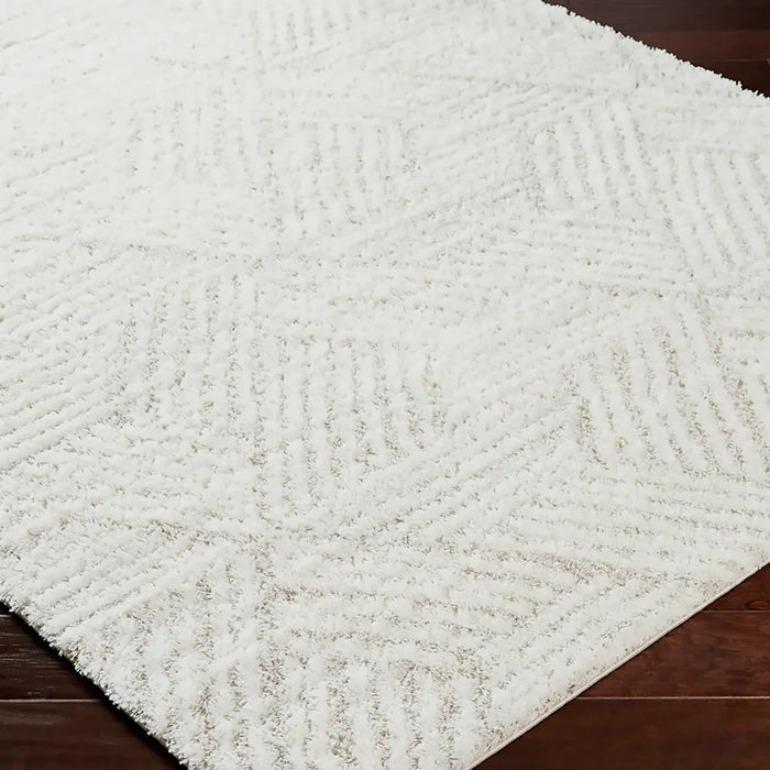 Allie Shaggy Geometric Plush Pile Beige Rug CDG2319