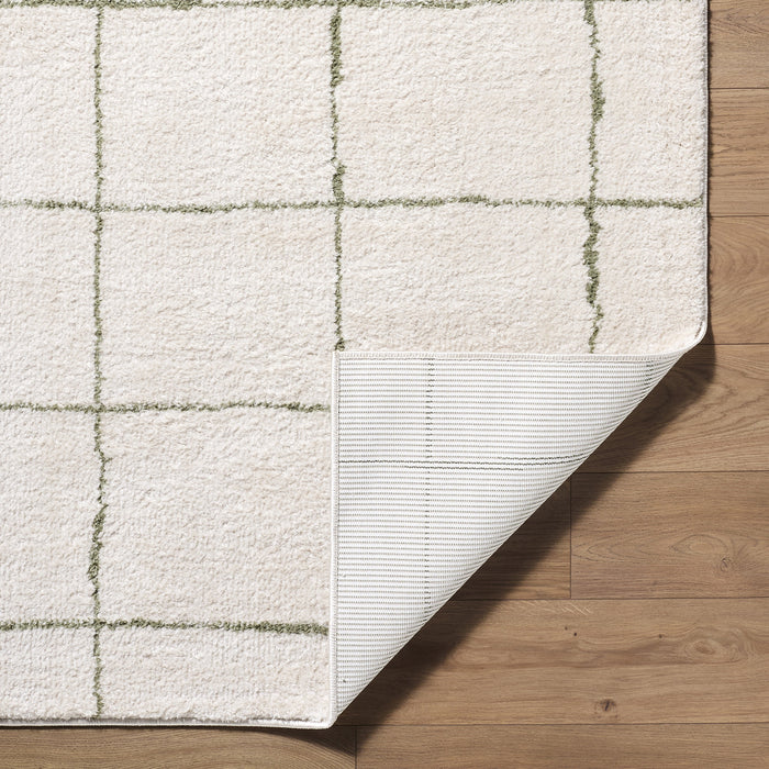 Tivoli Washable Modern High Pile EDRV2301 Rug