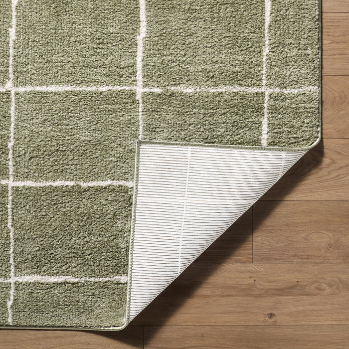 Tivoli Washable Modern High Pile EDRV2302 Rug