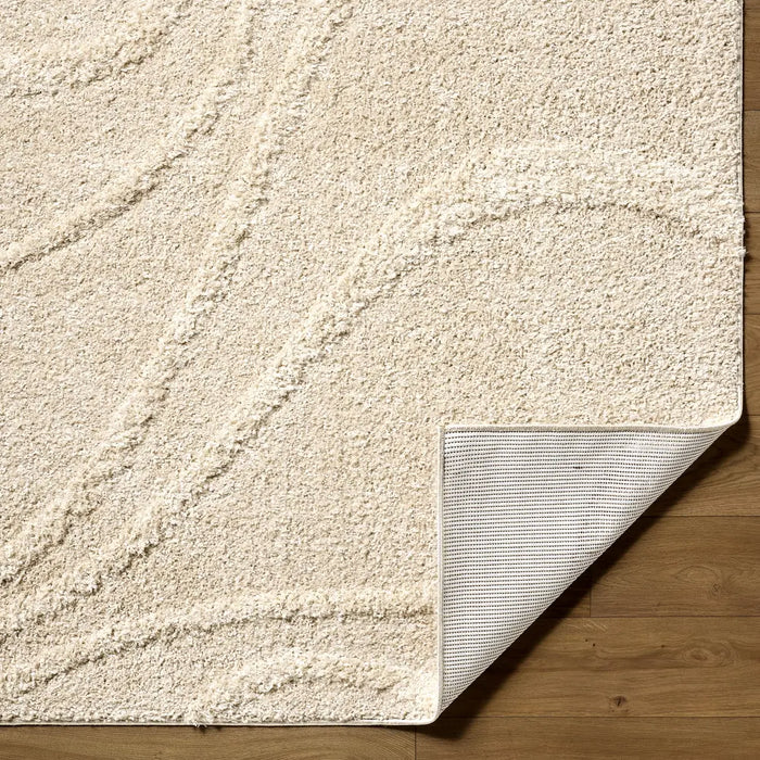 Rodos Modern Soft Plush Pile RDO2354 Rug