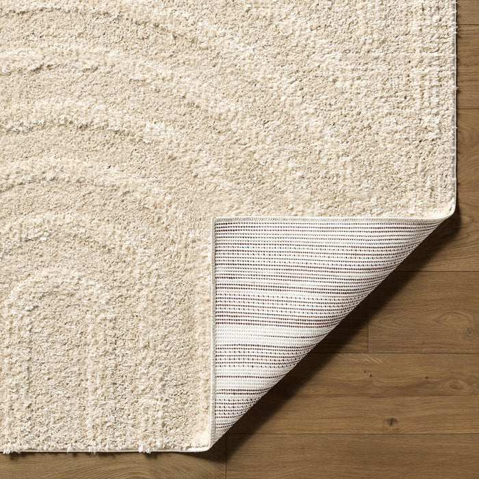 Rodos Modern Soft Plush Pile RDO2358 Rug
