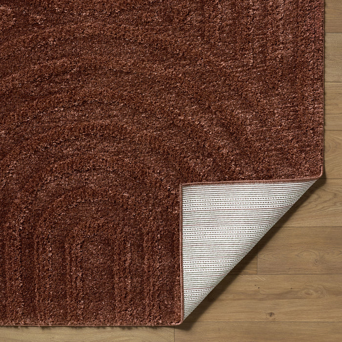 Rodos Modern Soft Plush Pile RDO2359 Rug