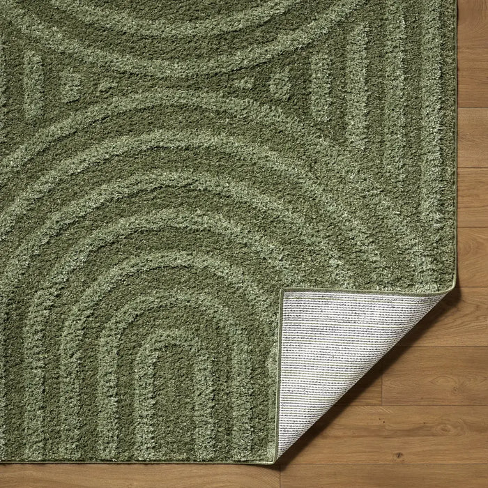 Rodos Modern Soft Plush Pile RDO2360 Rug