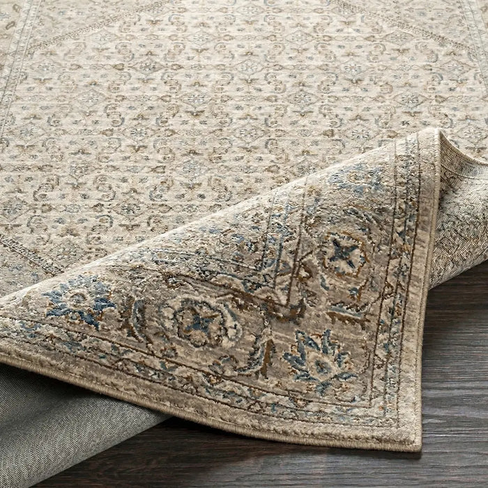 Arda Vintage Traditional Boho Fringe ACZ2315 Rug