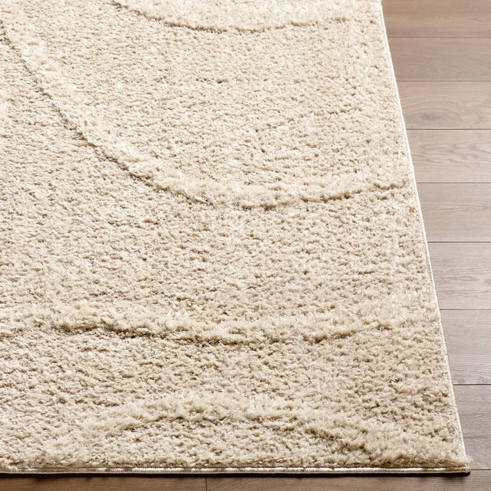 Rodos Modern Soft Plush Pile RDO2354 Rug