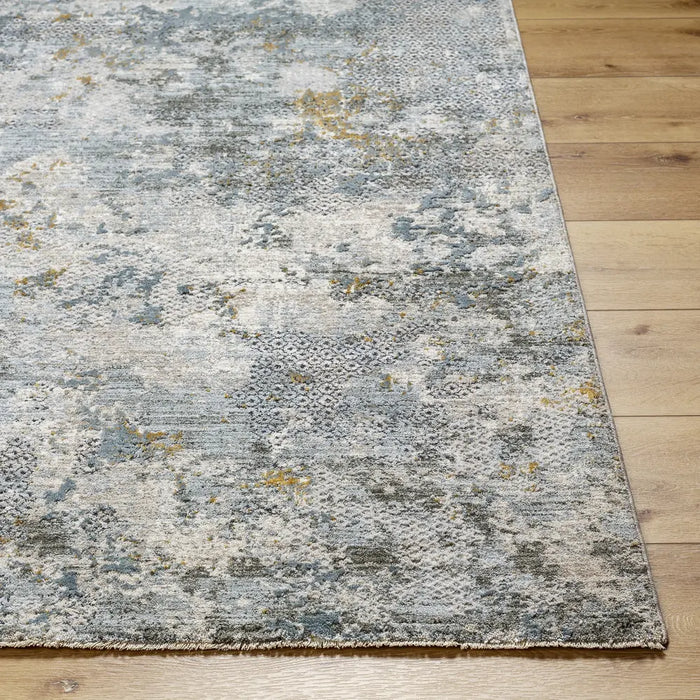 Dresden Vintage Traditional Boho Fringe DRE2302 Rug