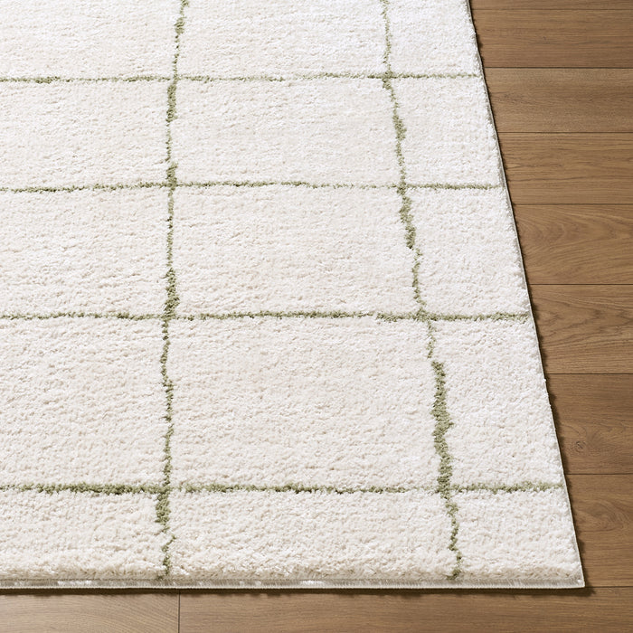 Tivoli Washable Modern High Pile EDRV2301 Rug