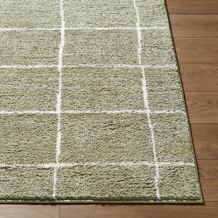 Tivoli Washable Modern High Pile EDRV2302 Rug