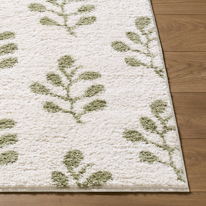 Tivoli Washable Modern High Pile EDRV2304 Rug