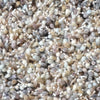 Young Driftwood 061805 Rug