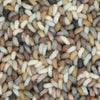 Arch Driftwood 067005 Rug