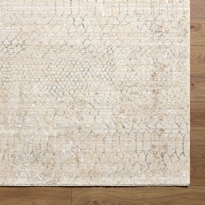 Nathan Modern Graphic NTH2301 Rug