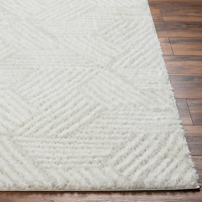 Allie Shaggy Geometric Plush Pile Beige Rug CDG2319