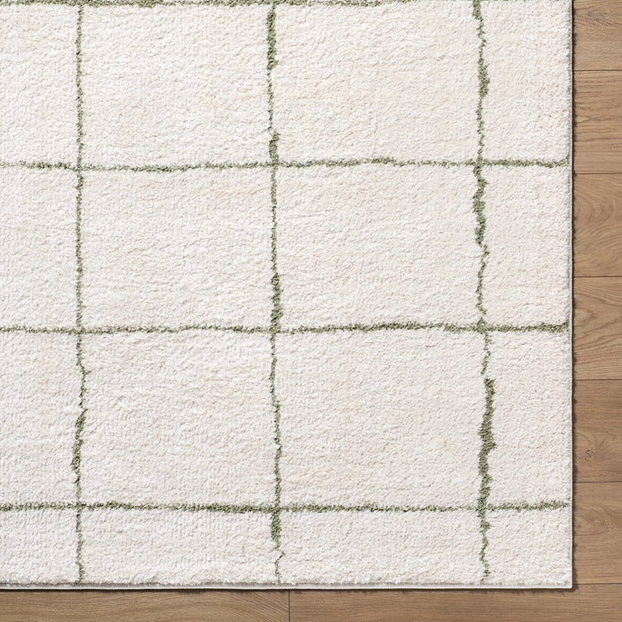 Tivoli Washable Modern High Pile EDRV2301 Rug