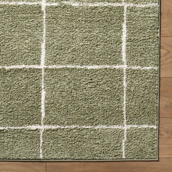 Tivoli Washable Modern High Pile EDRV2302 Rug