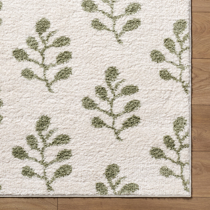 Tivoli Washable Modern High Pile EDRV2304 Rug