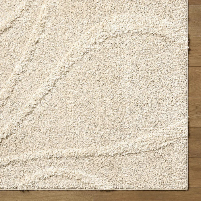 Rodos Modern Soft Plush Pile RDO2354 Rug