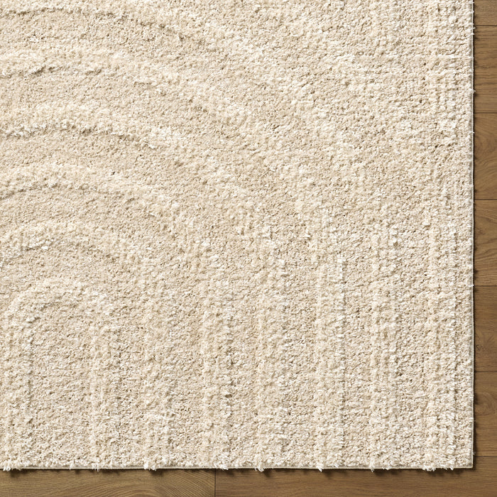 Rodos Modern Soft Plush Pile RDO2358 Rug
