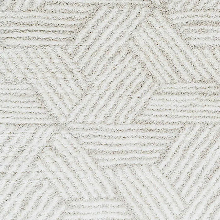 Allie Shaggy Geometric Plush Pile Beige Rug CDG2319
