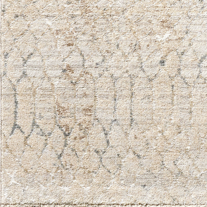 Nathan Modern Graphic NTH2301 Rug