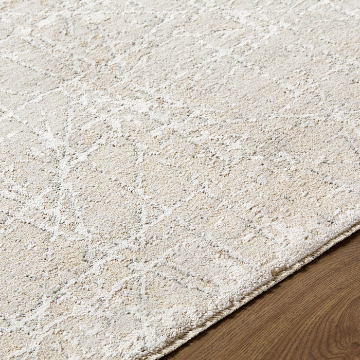 Nathan Modern Graphic NTH2300 Rug