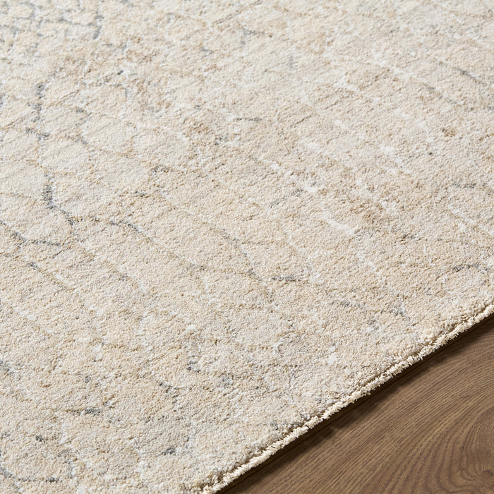 Nathan Modern Graphic NTH2301 Rug
