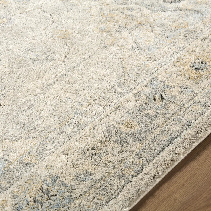 Avellino Vintage Traditional Boho High Pile AVL2316 Rug