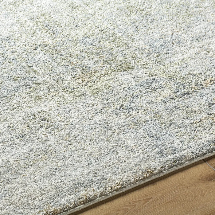 Avellino Abstract Modern Marble High Pile AVL2328 Rug
