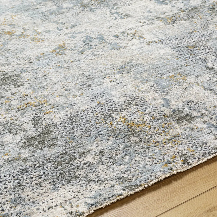 Dresden Vintage Traditional Boho Fringe DRE2302 Rug