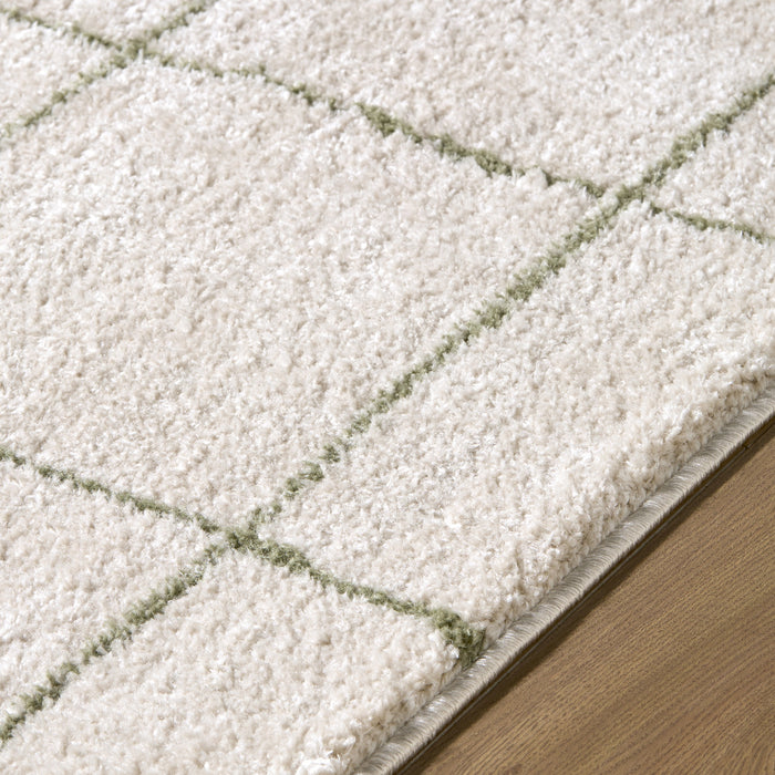 Tivoli Washable Modern High Pile EDRV2301 Rug
