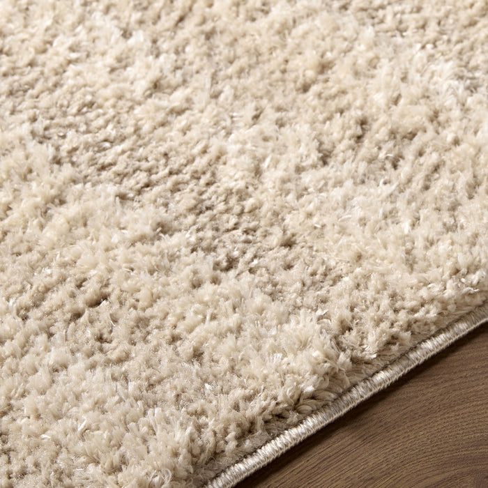 Rodos Modern Soft Plush Pile RDO2358 Rug