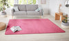 Hanse Home nasty pink Pink Living Room  Rug.