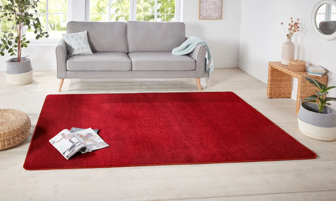 Hanse Home nasty red Red Living Room  Rug.