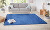 Hanse Home nasty blue Blue Living Room  Rug.