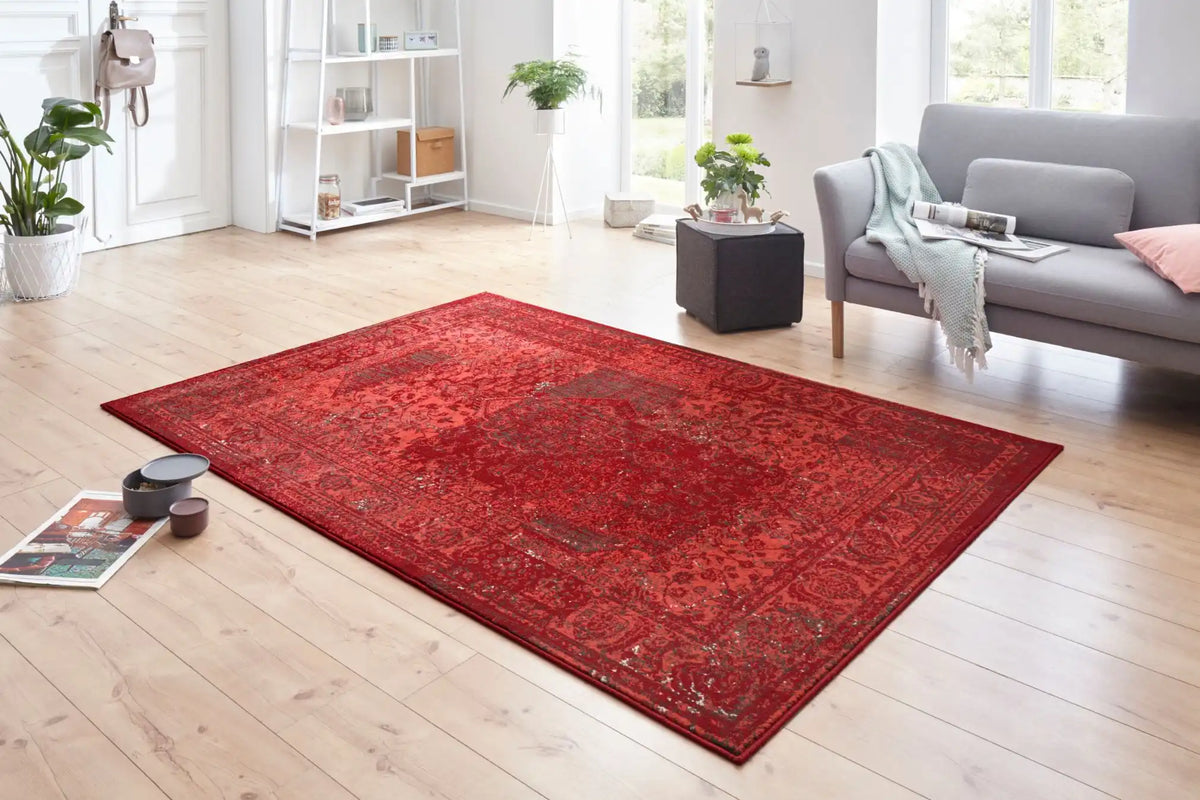 Celebration Plume Red Rugs - Buy Plume Red Rugs Online from Rugs Direct ...
