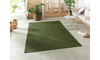 Braided 105554 Green Indoor / Outdoor