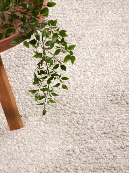 Ted Baker Notting Hill 106342 Cream