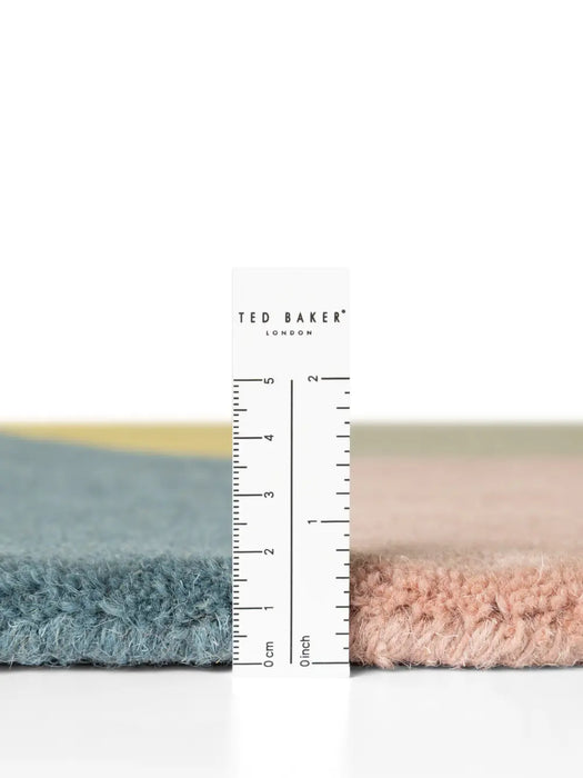 Westminster Ted Baker Westminster Beige Multicolour 106483