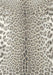 Mastercraft simba 12279 910 Brown Living Room  Rug.