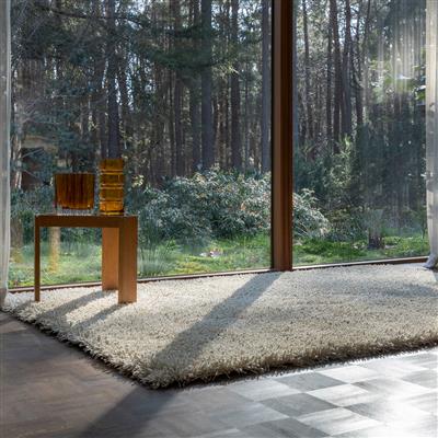 Ray Soft Desert 158601 Rug