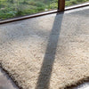 Ray Soft Desert 158601 Rug