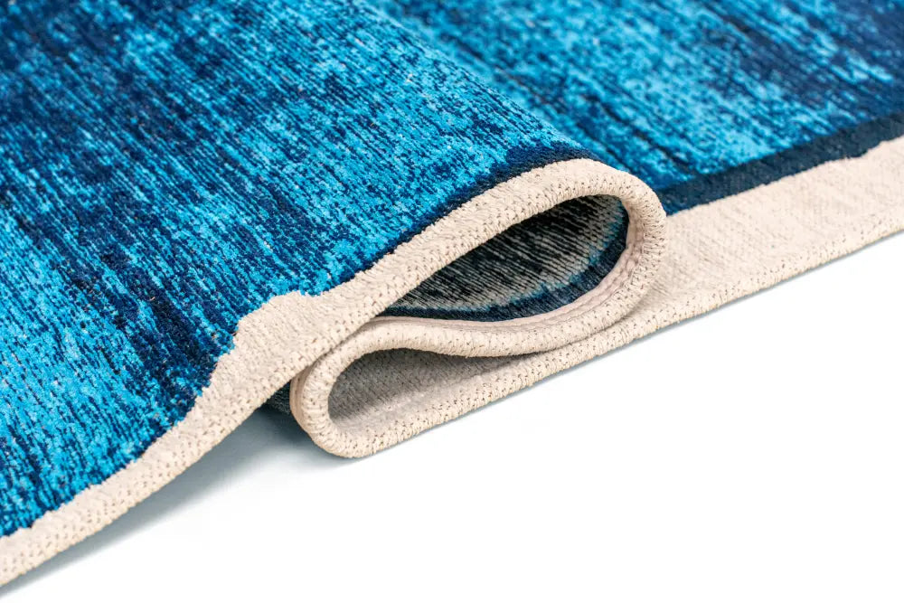 BRUSH DIVA BLUE 2080 Washable and Indoor/Outdoor