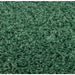  isla sage green    Rug.