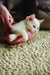 Rug Guru union ivory Ivory Living Room Wool Rug.