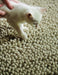 Rug Guru union oyster  Living Room Wool Rug.