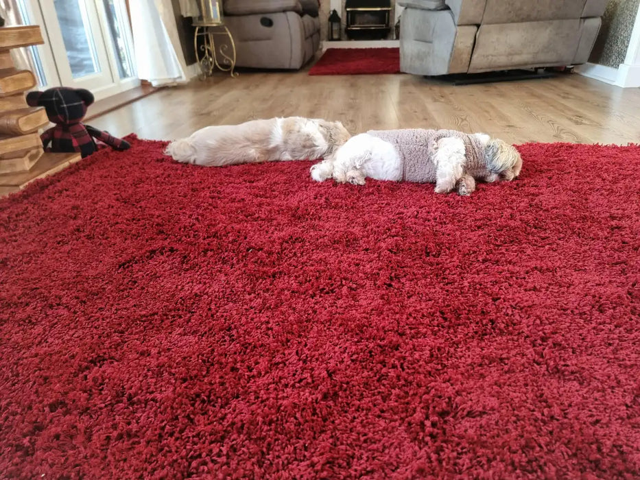 Photo By Jeffery S. |